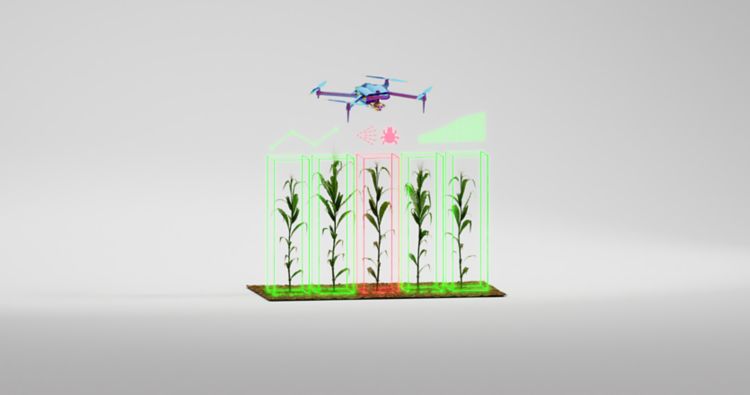 Drone and agriculture