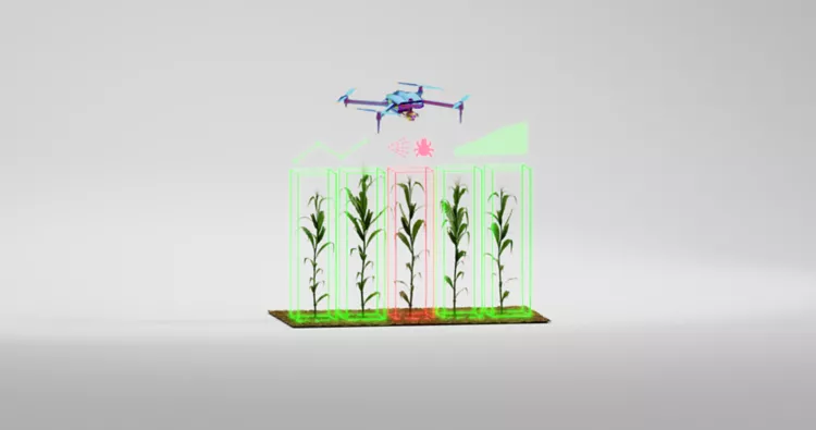 Drone and agriculture