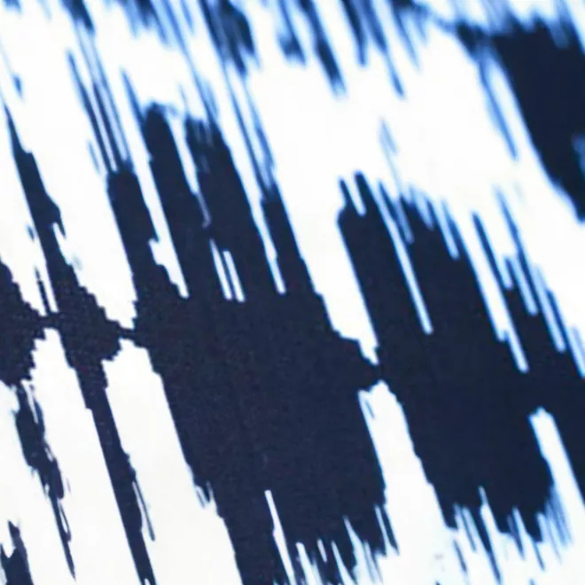 The Future of Digital Identity Deloitte Global