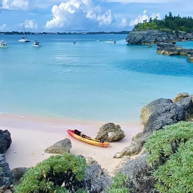 Receivership and Personal Bankruptcy in Bermuda Deloitte Bermuda