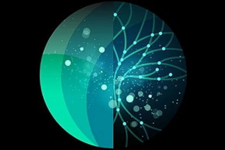 Case Studies | Deloitte