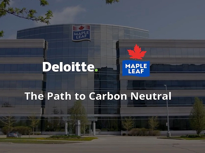 Deloitte Audit Consulting Financial Risk Management Tax Services Deloitte Audit Consulting Financial Risk Management Tax Services