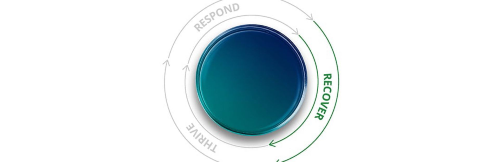 Reflect on lessons learnt and rebuild with resilience | Deloitte Global