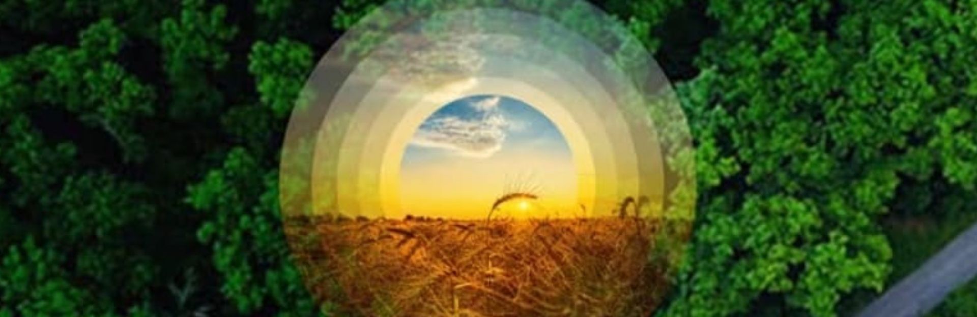 How To Fix A Broken Global Food System And Make It Net Positive