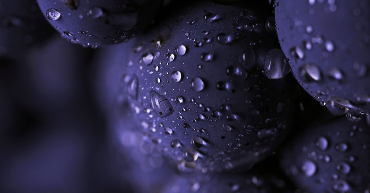 Directtoconsumer wine industry insights Deloitte Digital